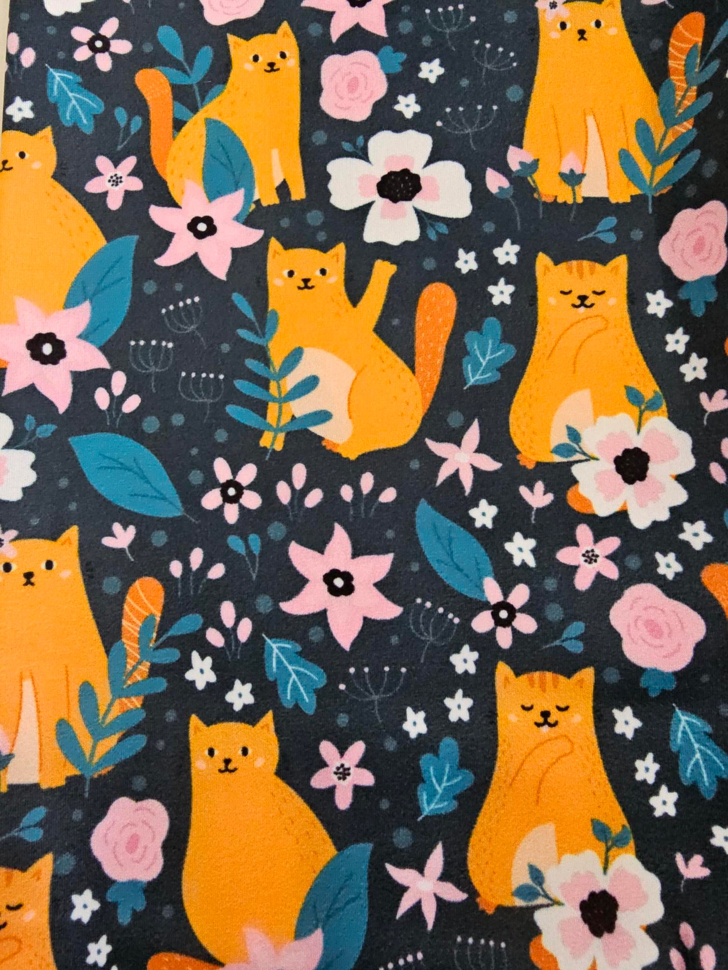 Kinder-Thermo-Set – Katzen