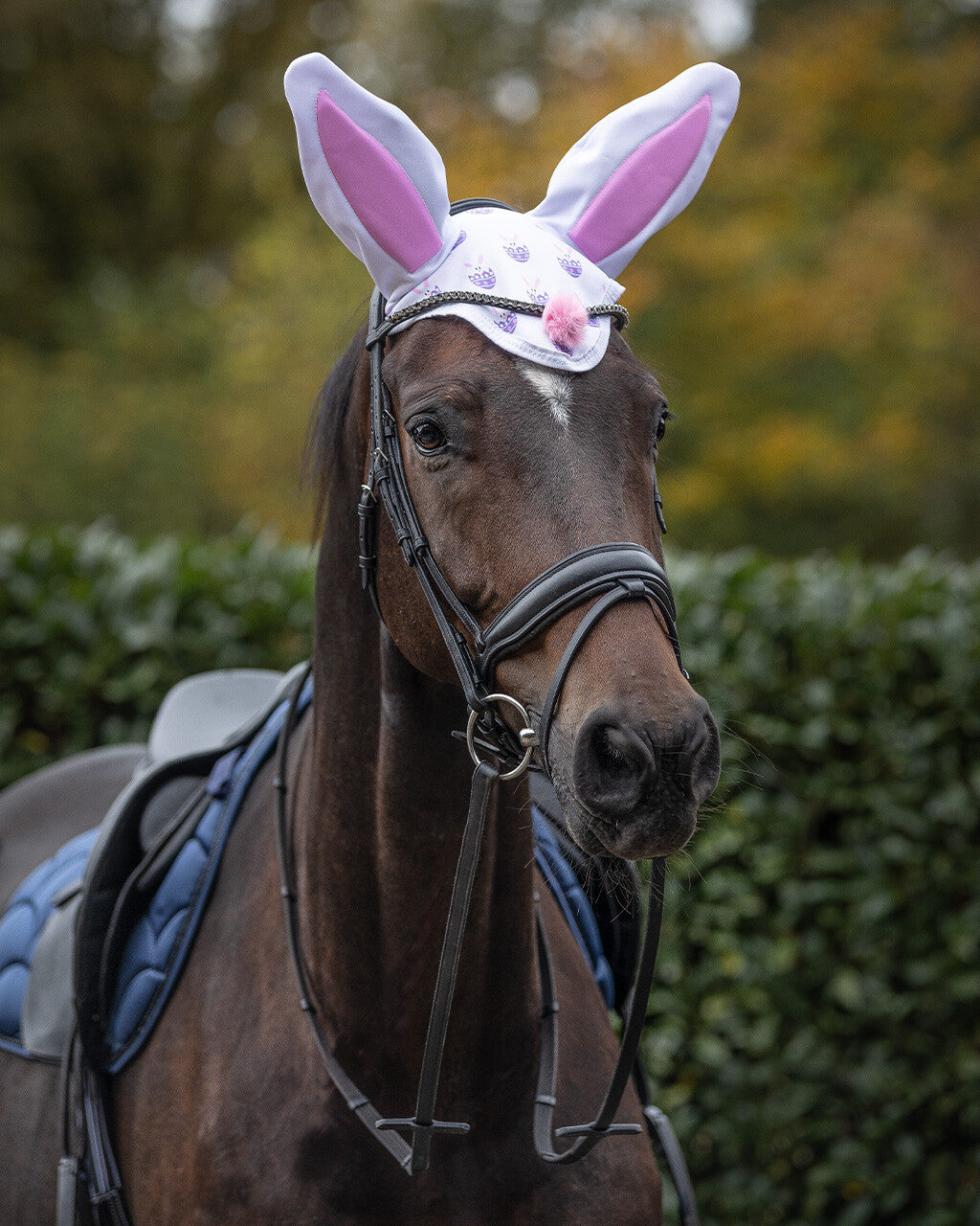 Eyrnahlíf - Bunny