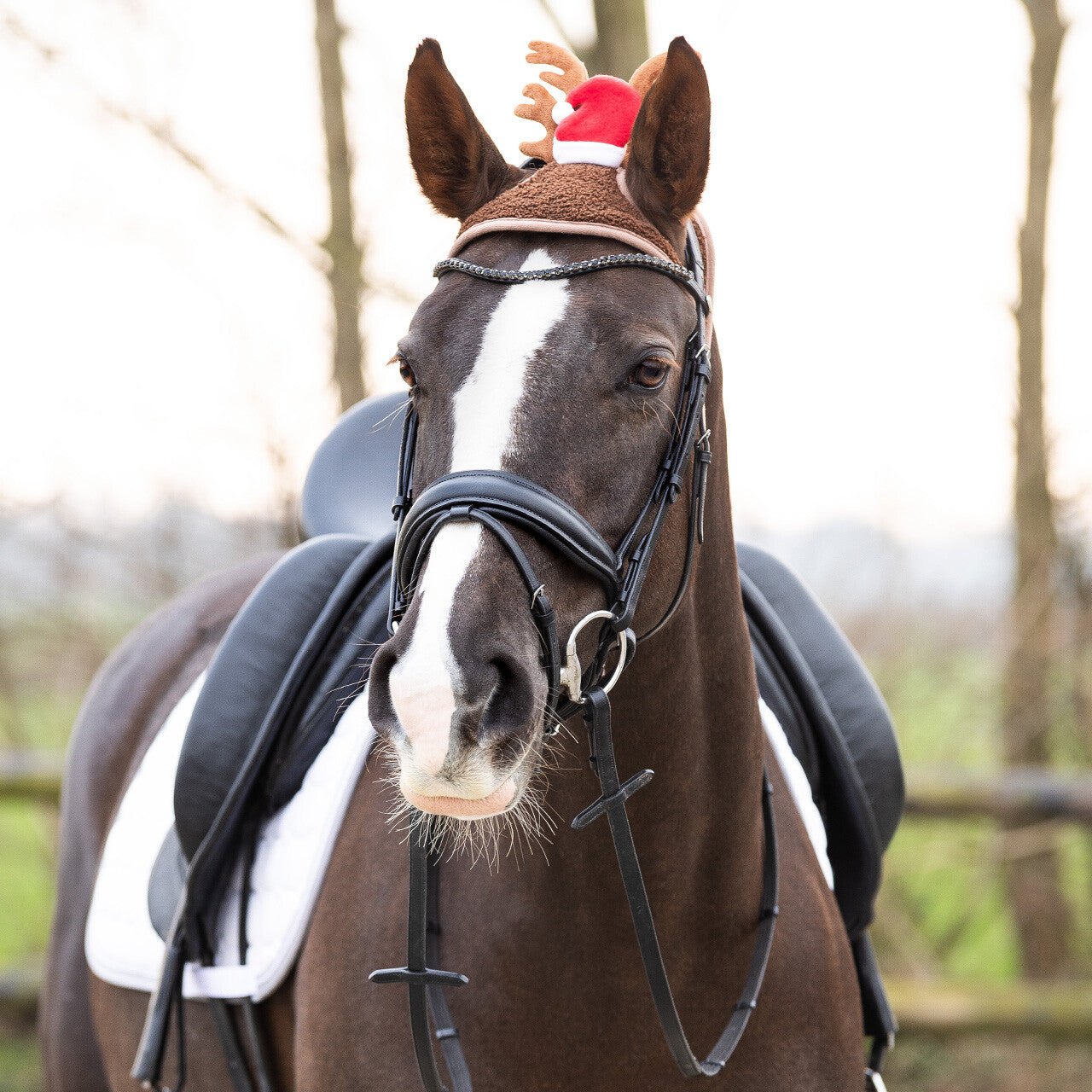 Weihnachtsmütze Pferd Geweih